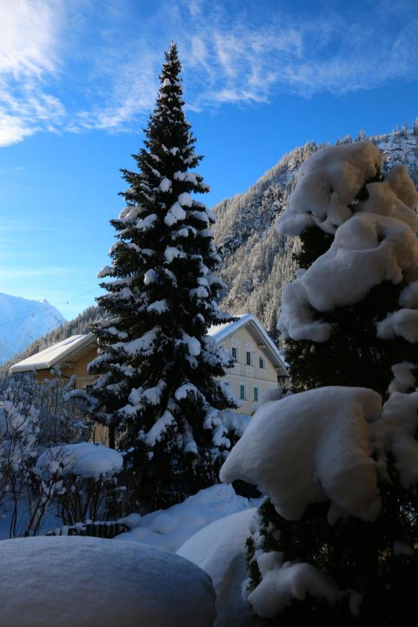 Apart-Garni Alpevita Mayrhofen Exterior photo